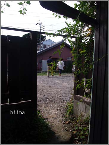 d0125776_1116329.jpg
