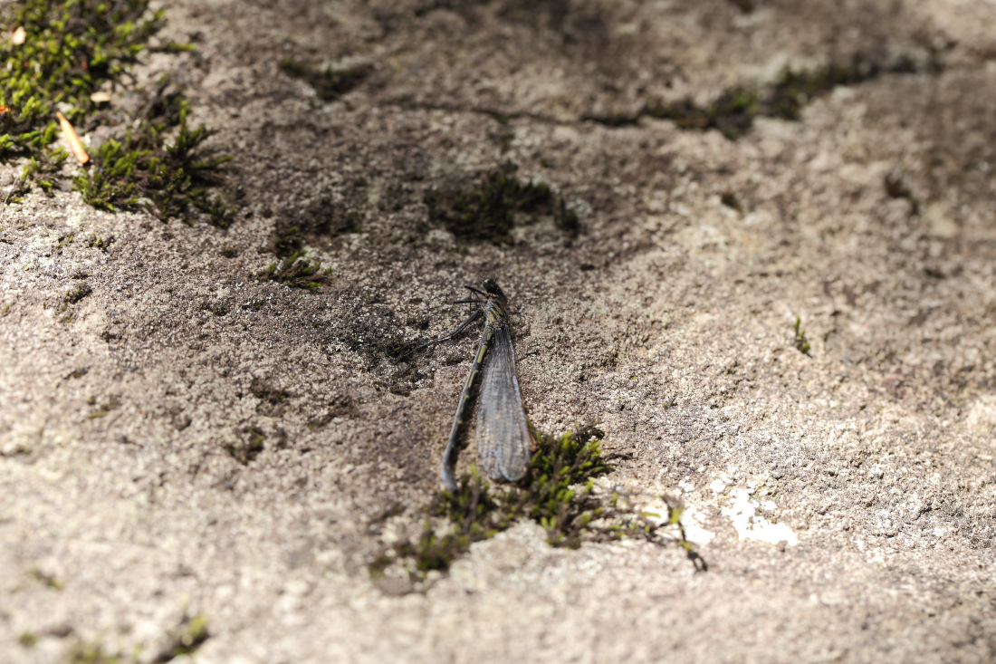 e0249878_16124535.jpg