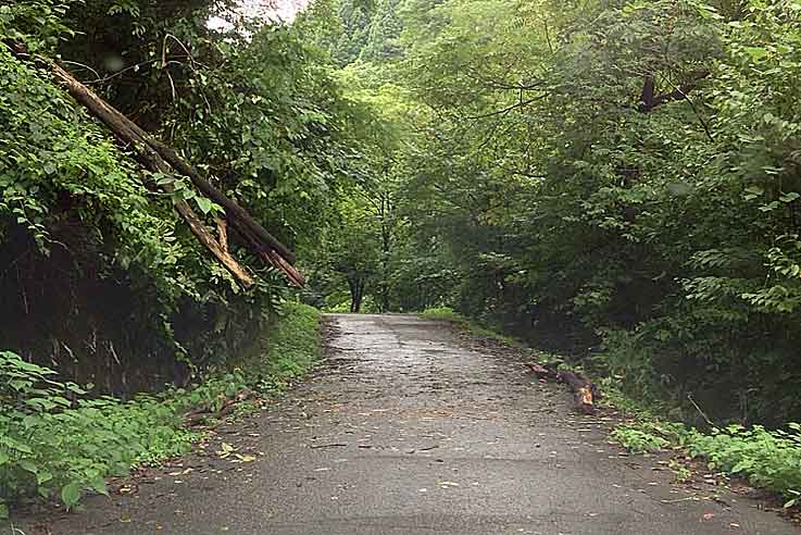 b0057679_91787.jpg