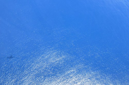 c0204385_18044280.jpg