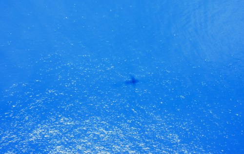 c0204385_18321994.jpg