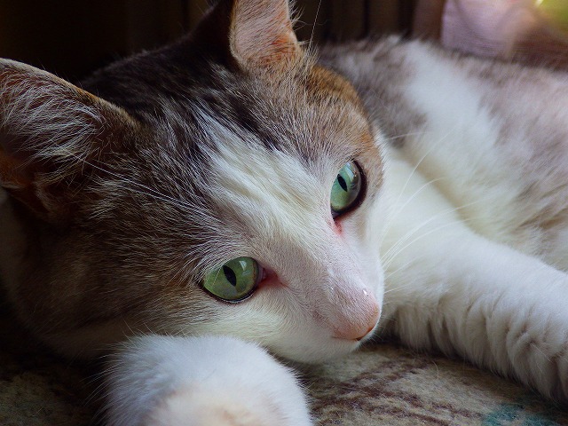 a0159490_12254547.jpg