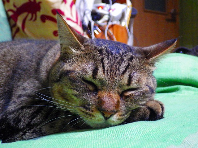 a0159490_12525963.jpg