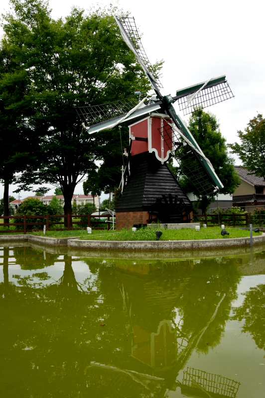 c0311196_21025406.jpg