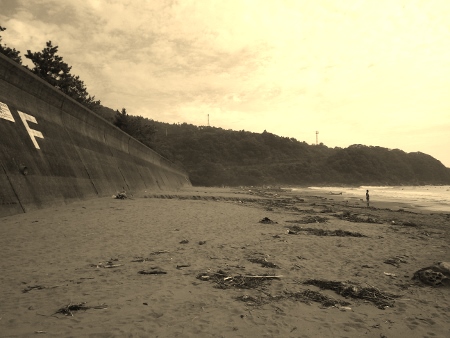 a0125598_22084353.jpg