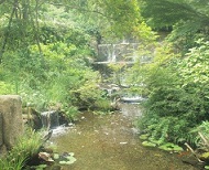 b0168801_1028831.jpg