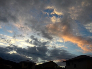 e0113504_5533695.jpg