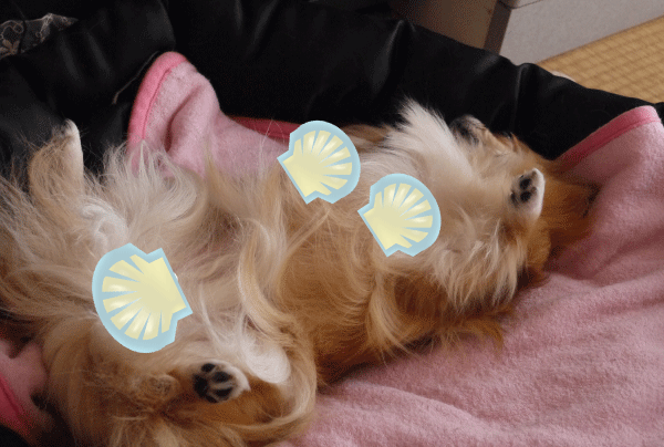 f0185804_16441538.gif