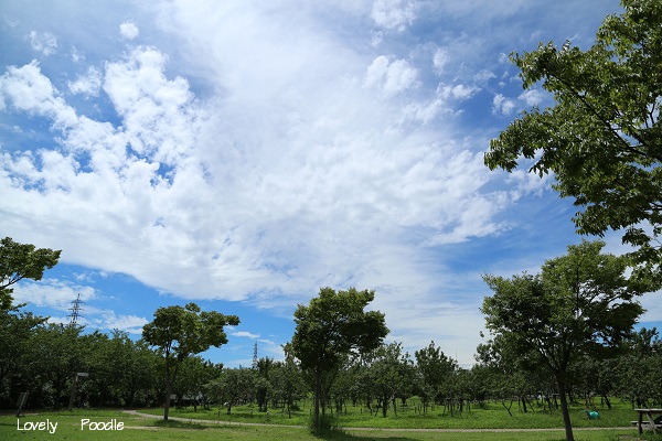 d0257606_18402933.jpg
