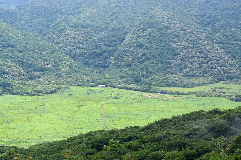 b0277008_9301713.jpg