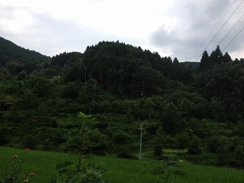 f0221708_126471.jpg