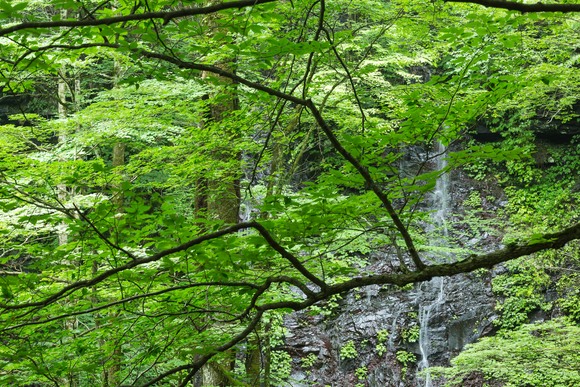 f0302208_15401029.jpg