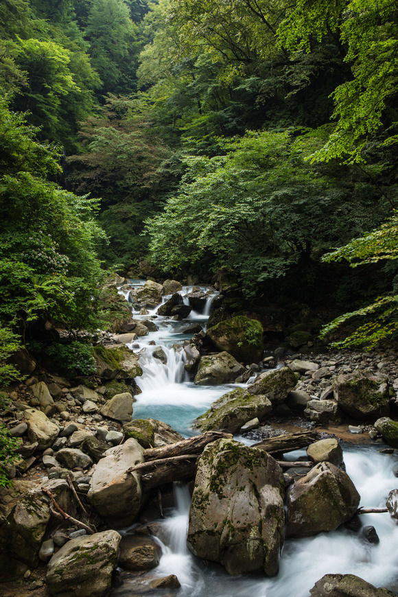 f0302208_15401570.jpg