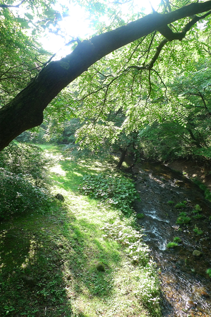 e0157816_6301064.jpg