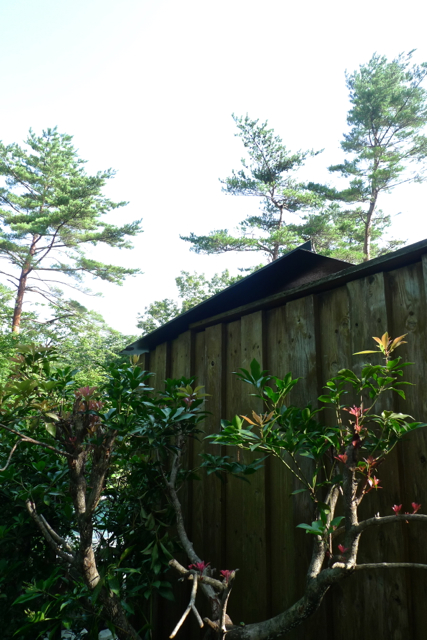 e0157816_6513266.jpg