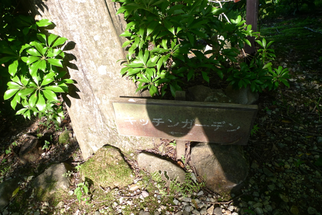 e0157816_673714.jpg