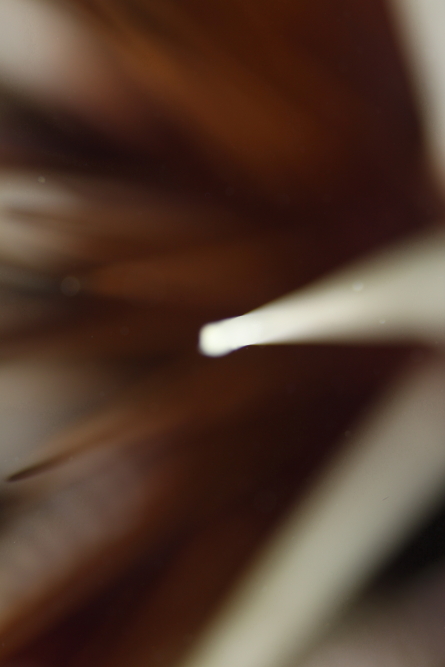 c0034029_601041.jpg