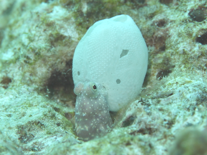 c0034029_603358.jpg