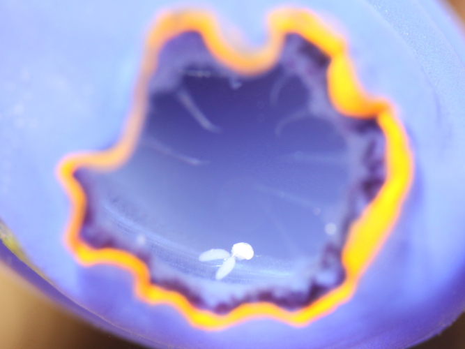 c0034029_60452.jpg