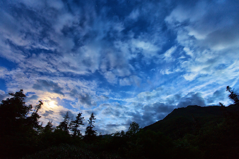c0216331_23275424.jpg