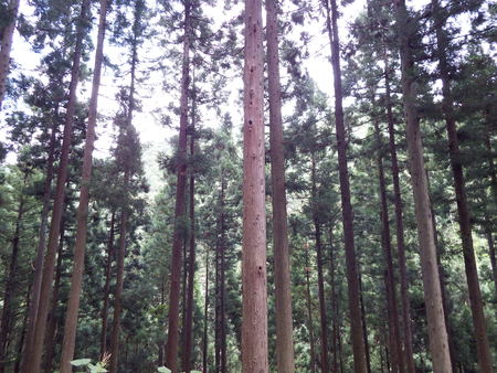 f0118332_22152040.jpg