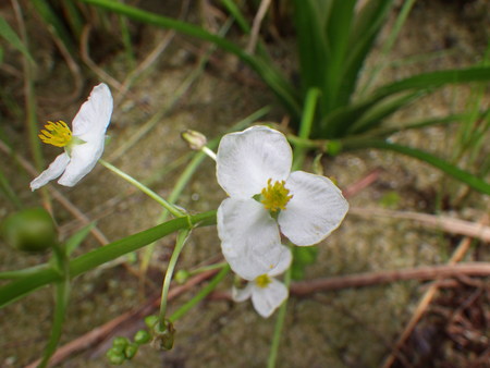 f0118332_2217872.jpg