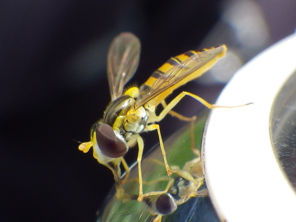 f0118332_2219167.jpg