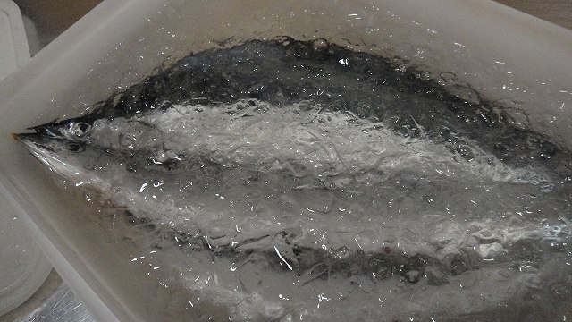 f0208737_832132.jpg