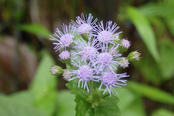 a0054240_21104082.jpg