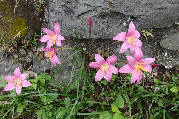 a0054240_21302350.jpg