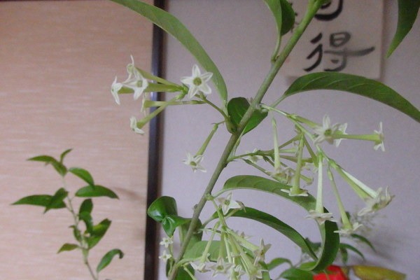 a0054240_21334151.jpg