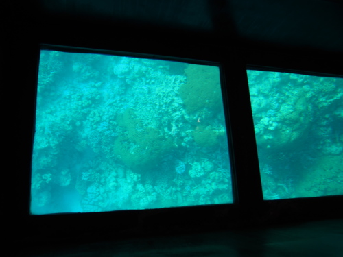f0347942_17135012.jpg