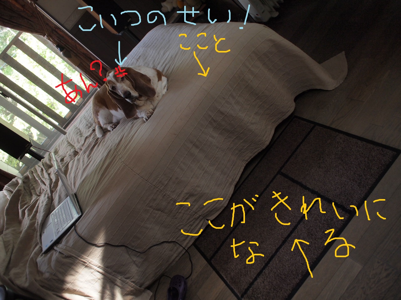 a0299945_07431045.jpg