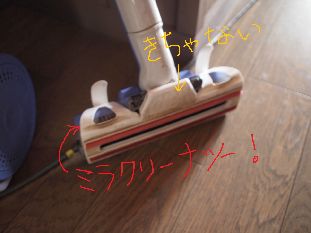 a0299945_07431701.jpg