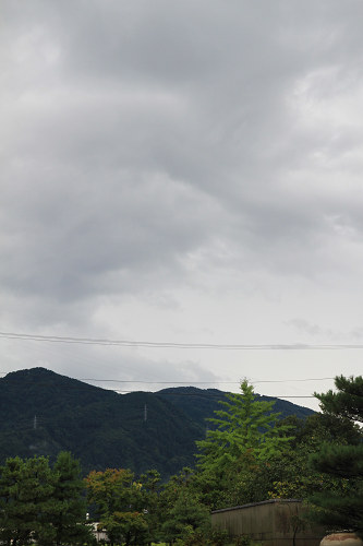 f0108553_18163023.jpg