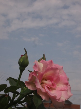 b0246758_20040100.jpg