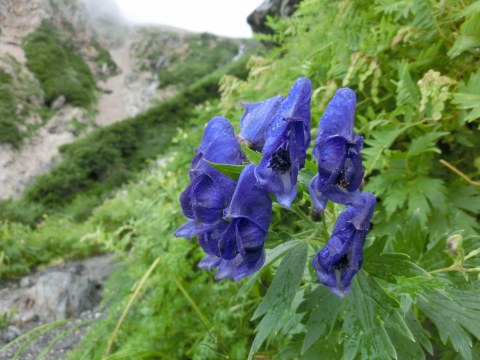 e0045768_21461414.jpg