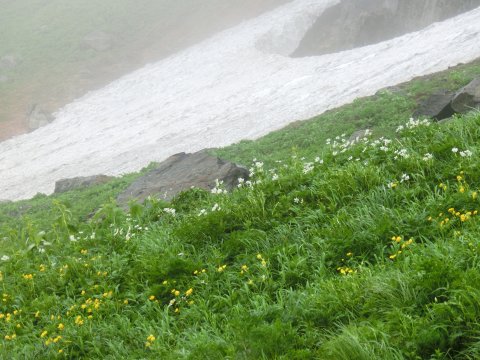 e0045768_21491455.jpg