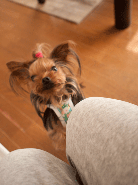 e0248268_06572510.gif