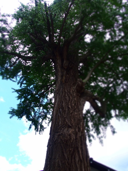 c0122670_23193171.jpg