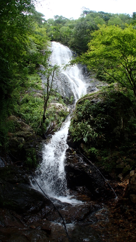 e0024081_07422050.jpg