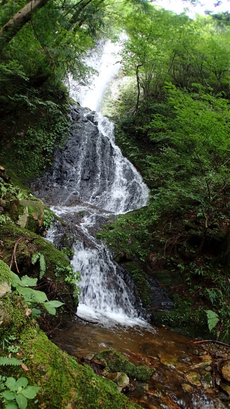 e0024081_07454851.jpg