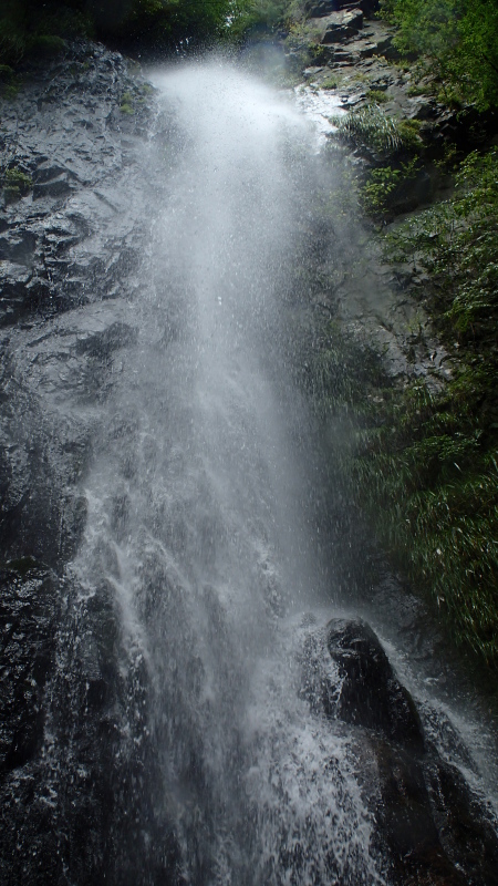e0024081_07480807.jpg