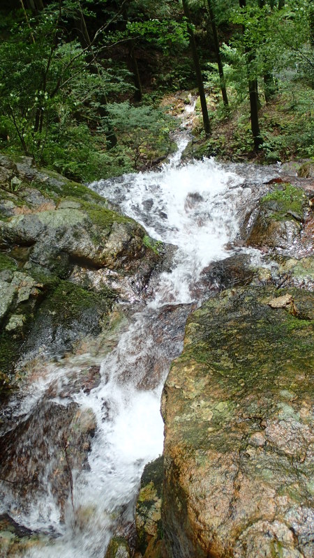 e0024081_07504904.jpg
