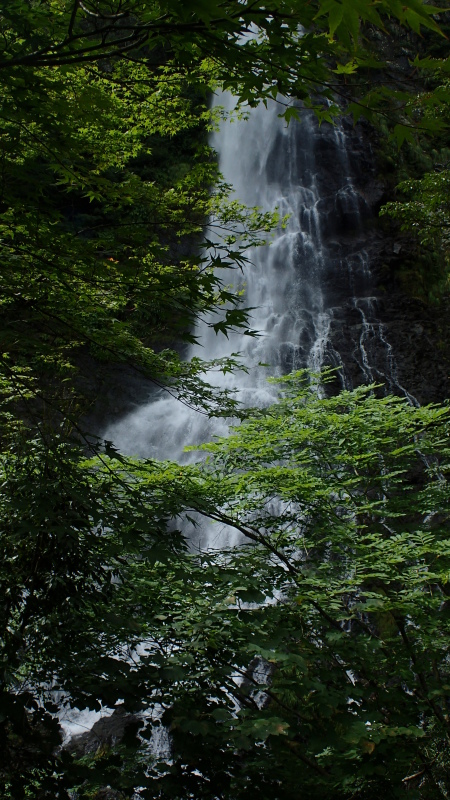 e0024081_08032420.jpg