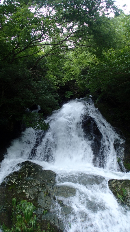 e0024081_08085941.jpg