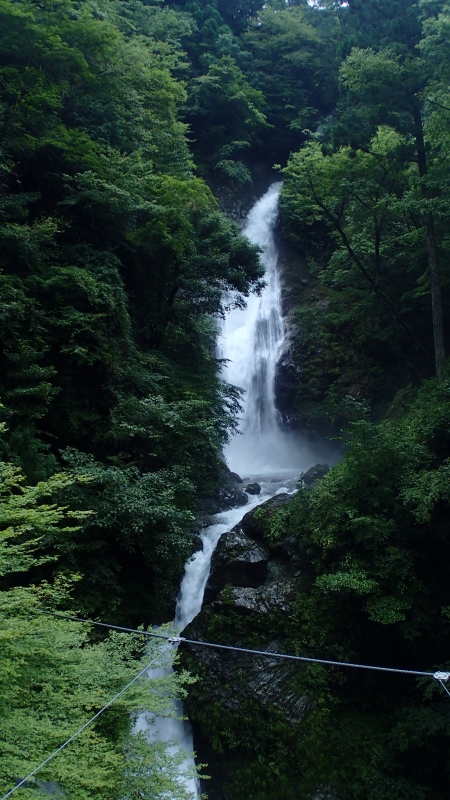 e0024081_08114236.jpg