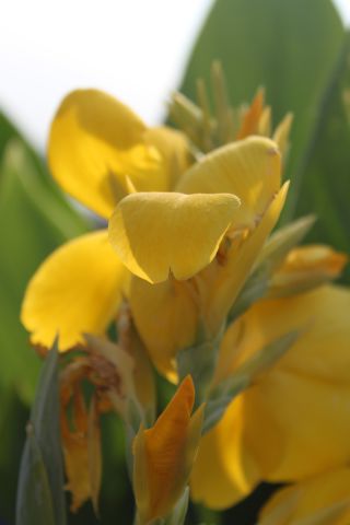 f0326984_21492233.jpg