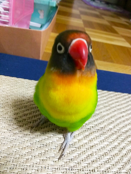 a0112595_22422441.jpg