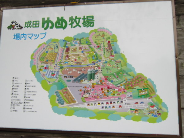 d0098295_23121327.jpg